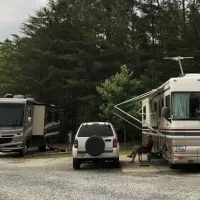 pine-ridge-campground-roebuck-fk4sk