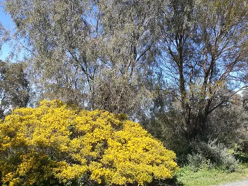 royal-mail-hotel-booroorban-nsw-campground-booroorban-0dzgd