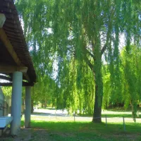 camping-municipal-le-grand-canyon-la-palud-sur-verdon-fz5iu