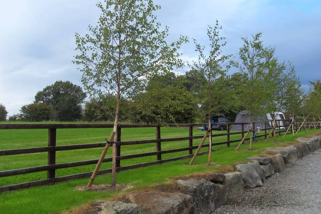 woodhouse-farm-holiday-park-ripon-6rhpq