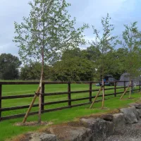 woodhouse-farm-holiday-park-ripon-6rhpq