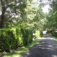 camping-ducasse-aire-naturelle-st-martin-de-seignanx-nd7nb