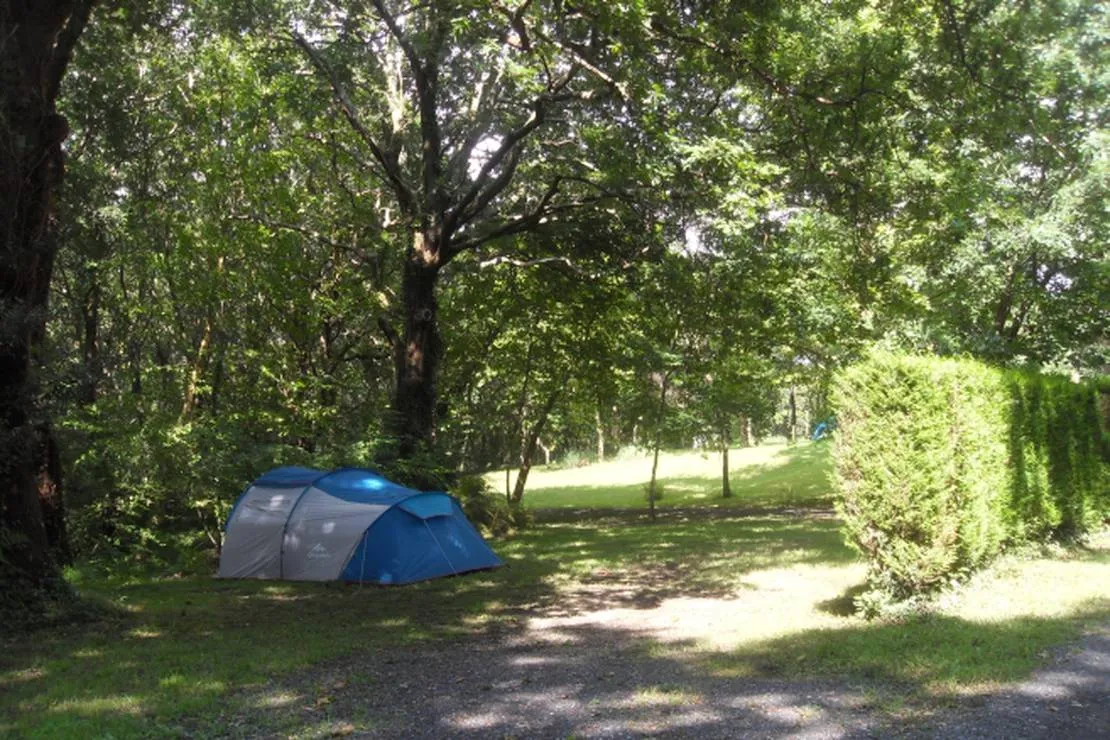 camping-ducasse-aire-naturelle-st-martin-de-seignanx-w8fas