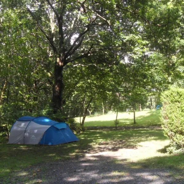 camping-ducasse-aire-naturelle-st-martin-de-seignanx-w8fas