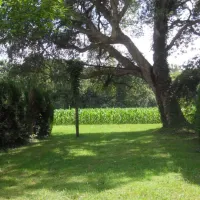 camping-ducasse-aire-naturelle-st-martin-de-seignanx-wclep