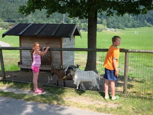 appartementen-seehof-alpbachtal-kramsach-4xssz