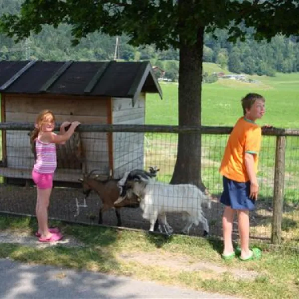 appartementen-seehof-alpbachtal-kramsach-4xssz