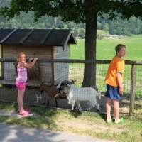 appartementen-seehof-alpbachtal-kramsach-4xssz