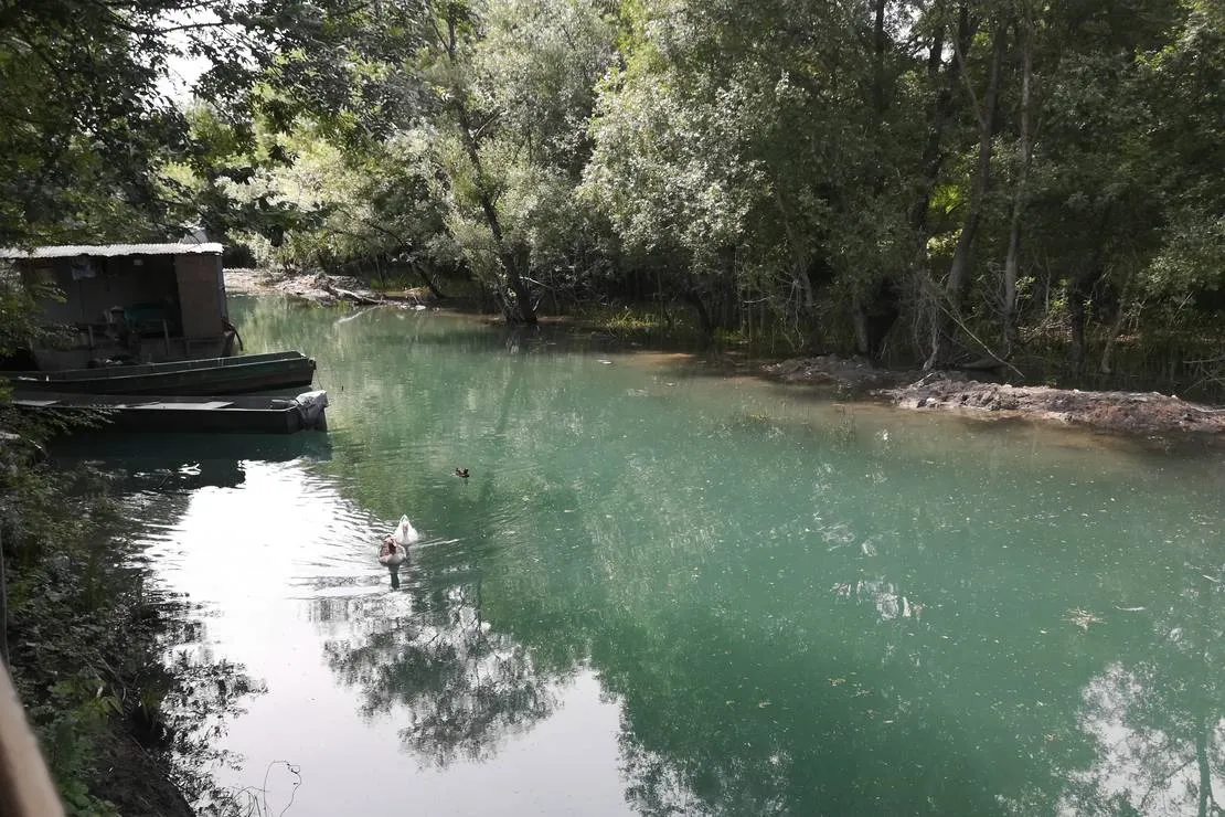 auto-camp-river-plavnica-podgorica-fjnep