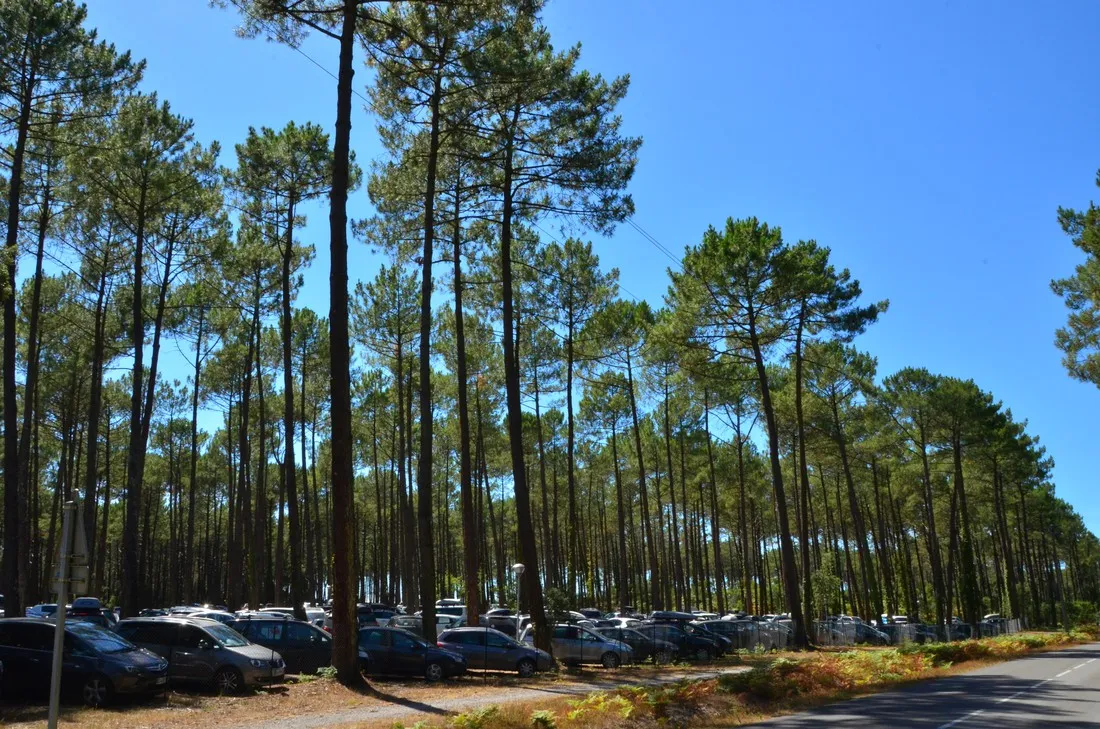 lou-pignada-messanges-landes-x8pej