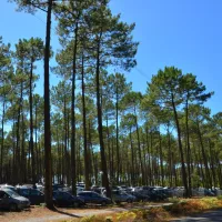 lou-pignada-messanges-landes-x8pej