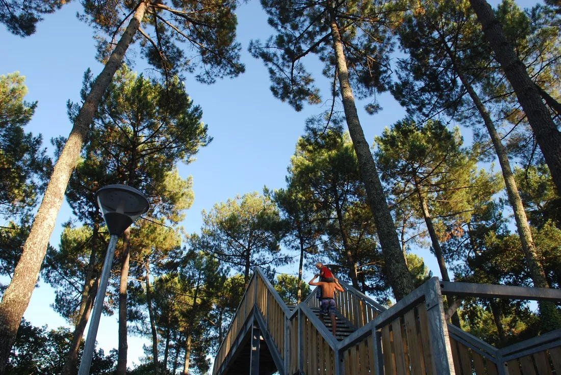 lou-pignada-messanges-landes-yiaqd