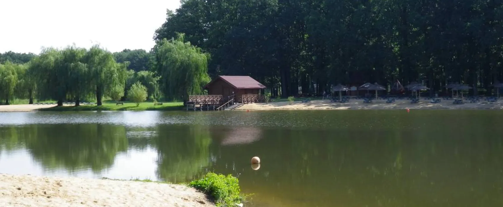 Forest Park Resort