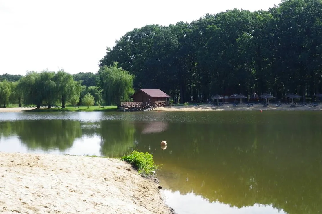 forest-park-resort-donetsk-pe8ql