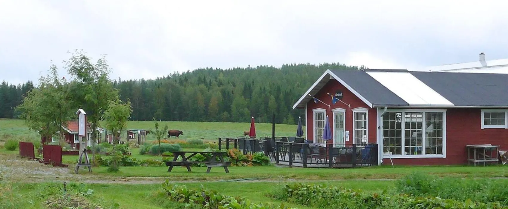 Kvarnå Trädgård 