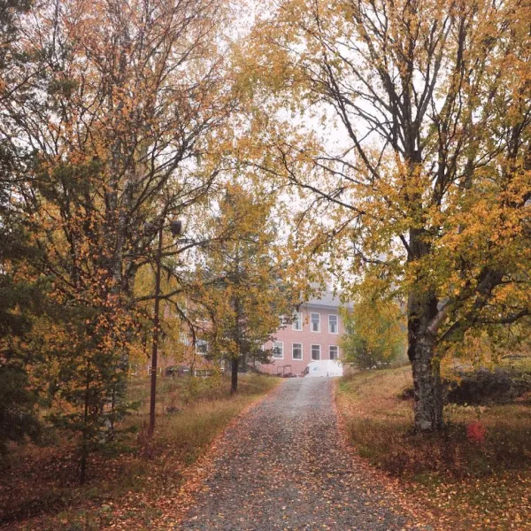 utbildningscentrum-i-gillhov-svenstavik-l8v34