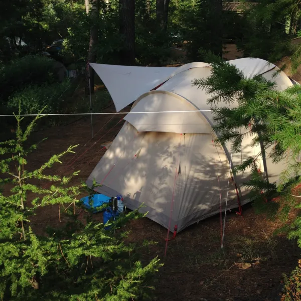 la-foret-st-jean-du-gard-gwjry