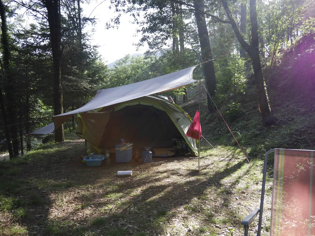 la-foret-st-jean-du-gard-ninwu