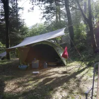 la-foret-st-jean-du-gard-ninwu