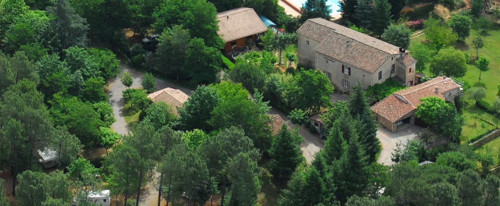 La Forêt