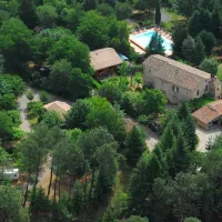 la-foret-st-jean-du-gard-noqqw