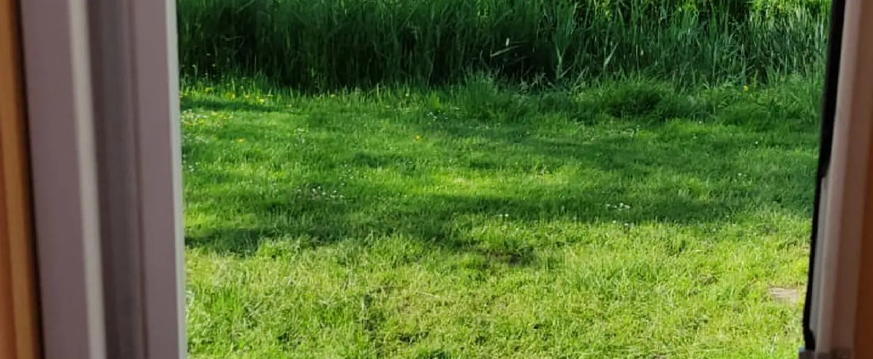 Doornenbal