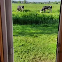 doornenbal-nieuwersluis-cssmb