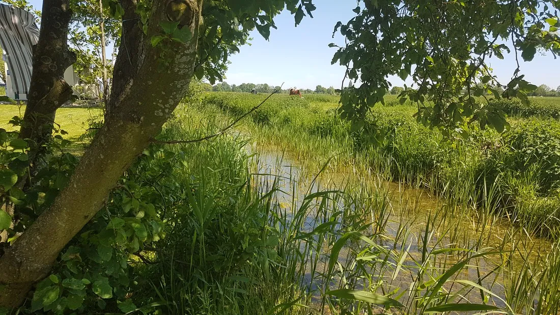 doornenbal-nieuwersluis-sqwfq