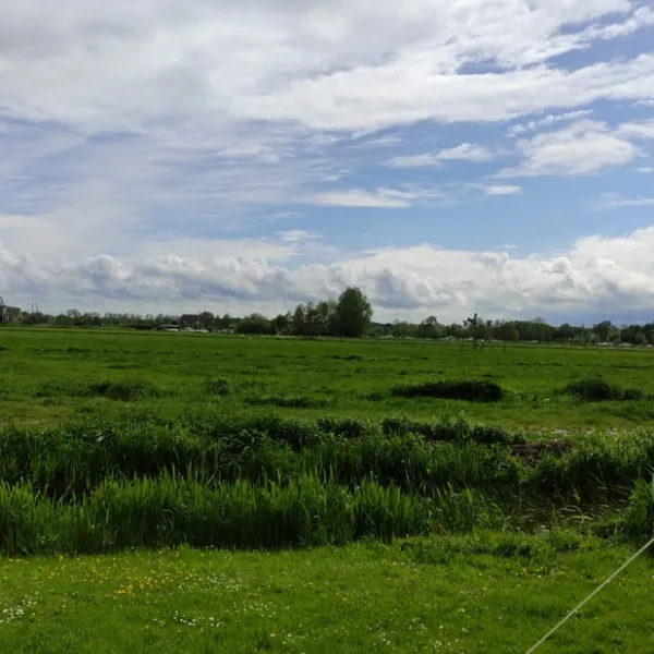 doornenbal-nieuwersluis-ulary