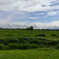 doornenbal-nieuwersluis-ulary