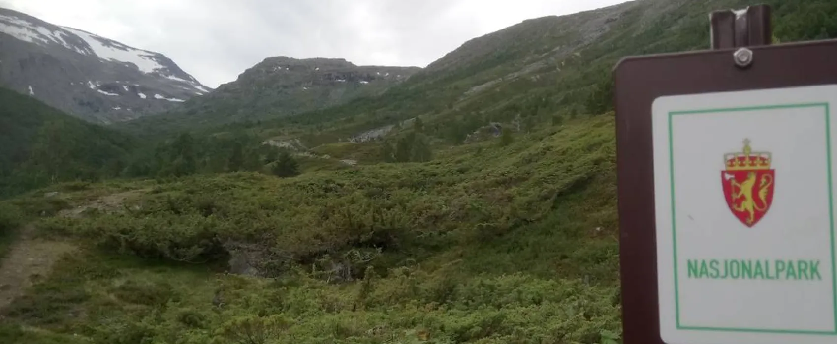 Øya økocamp