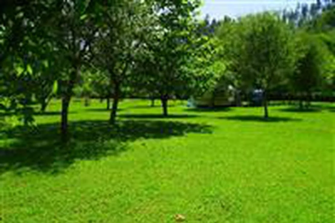 camping-playa-espana-villaviciosa-5rnel