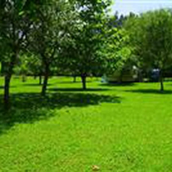 camping-playa-espana-villaviciosa-5rnel