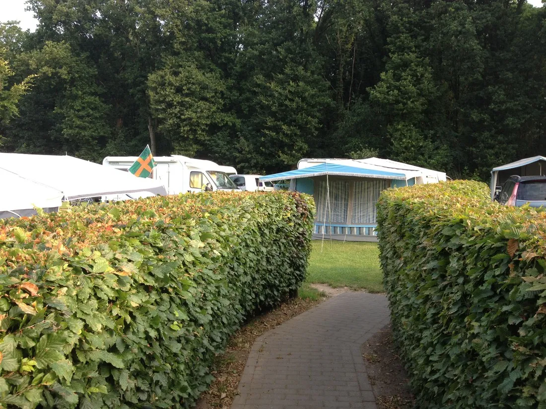 nederrijkswald-berg-en-dal-oxvq4