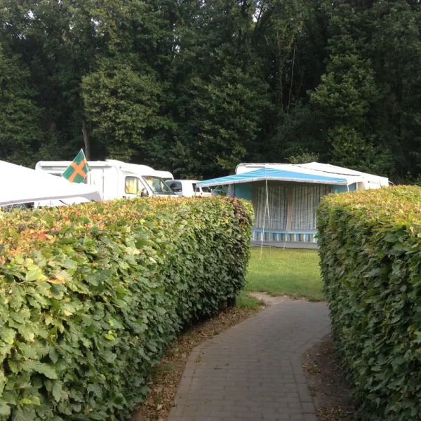 nederrijkswald-berg-en-dal-oxvq4