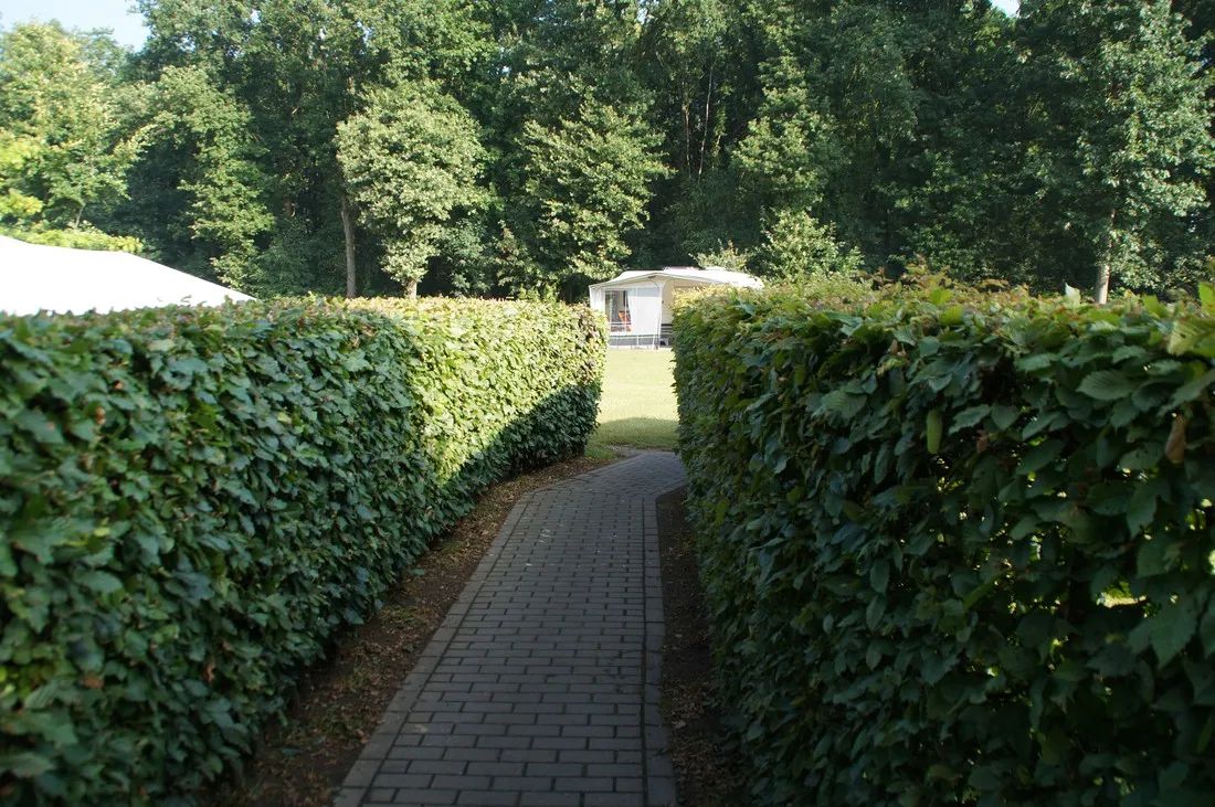 nederrijkswald-berg-en-dal-rv64k