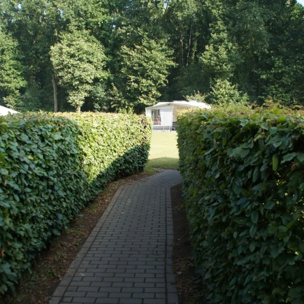 nederrijkswald-berg-en-dal-rv64k