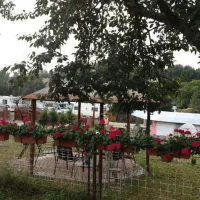 camperpark-lena-leknicabronowice-bronowice-lubuskie-da2bj