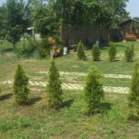 camperpark-lena-leknicabronowice-bronowice-lubuskie-mlvuk