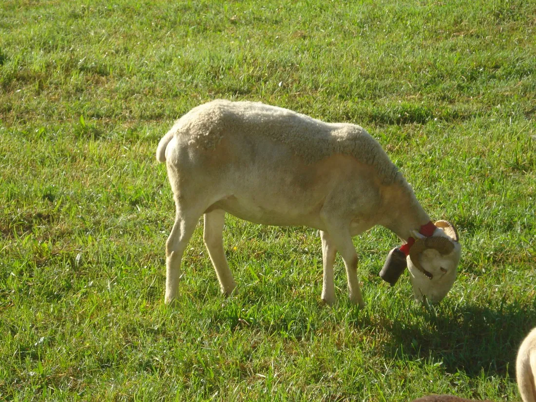 yelloh-village-le-pre-lombard-tarascon-sur-ariege-aqgbf
