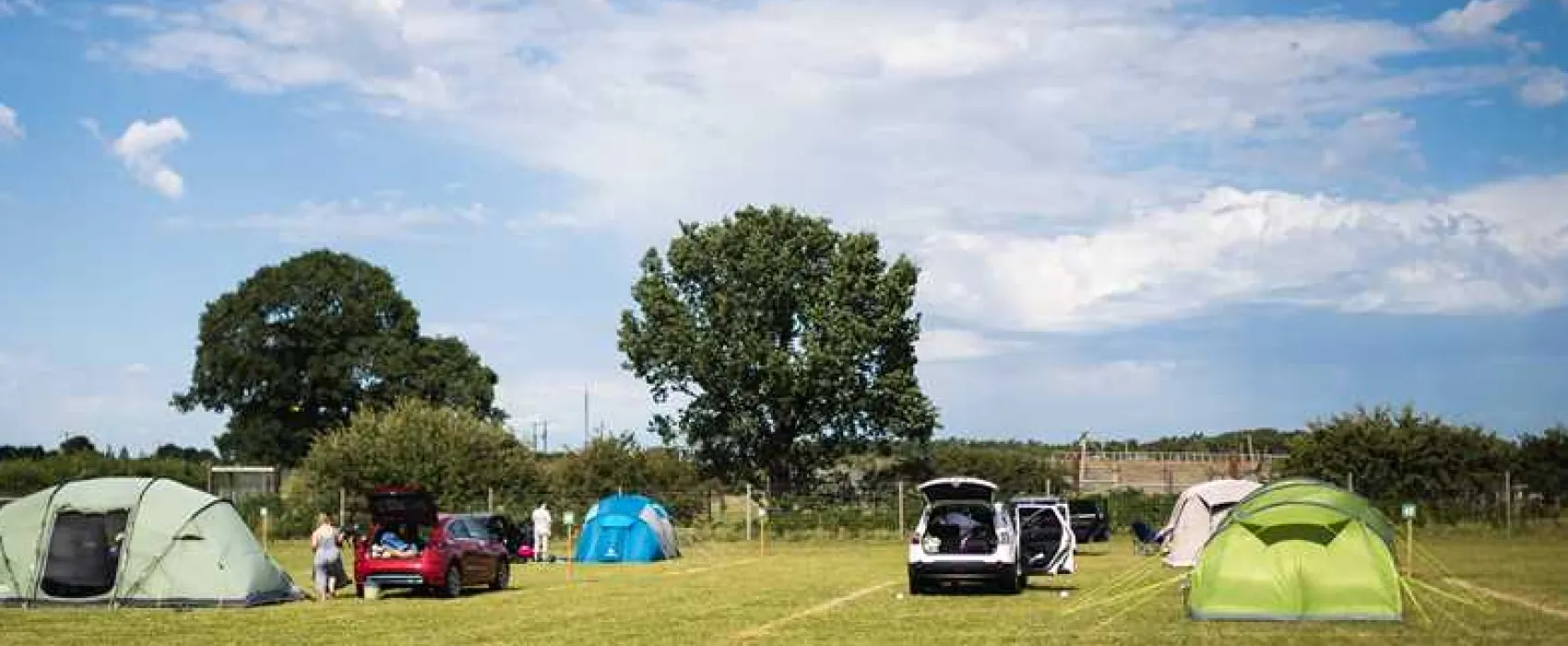 Camp Lion