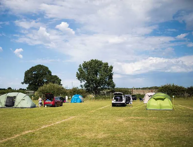 camp-lion-doncaster-eex0l