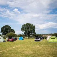 camp-lion-doncaster-eex0l