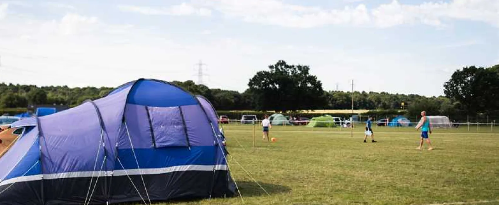 Camp Lion