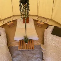 camp-lion-doncaster-zcchs