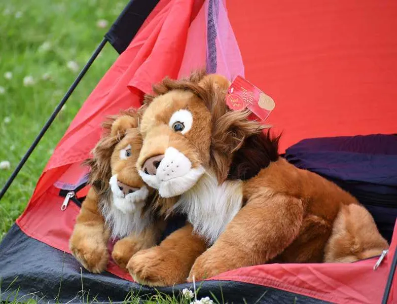 camp-lion-doncaster-zvzof