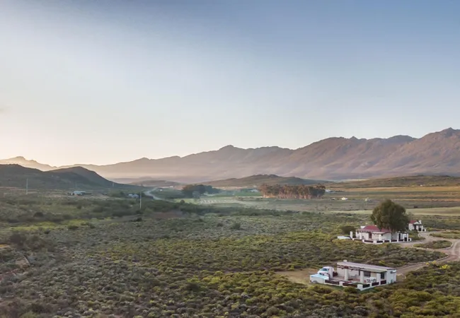 protea-pod-at-glen-eden-r62-ruigtevlei-montagu-6kxv5