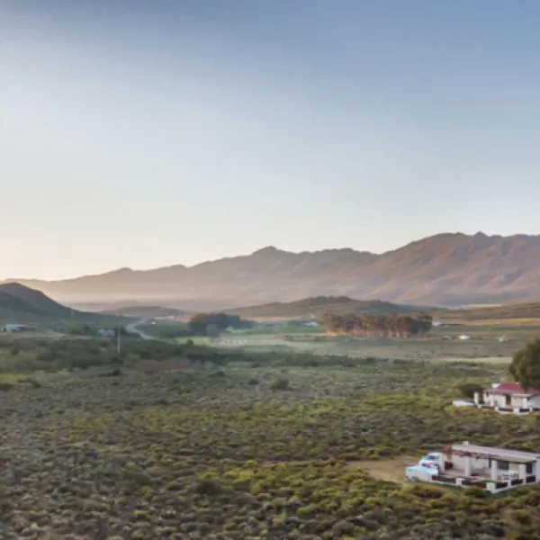protea-pod-at-glen-eden-r62-ruigtevlei-montagu-6kxv5
