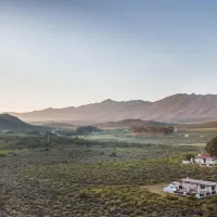 protea-pod-at-glen-eden-r62-ruigtevlei-montagu-6kxv5