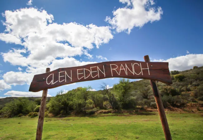 protea-pod-at-glen-eden-r62-ruigtevlei-montagu-birpg